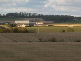 View across farm land in Ancroft.