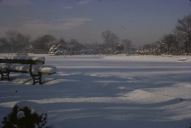 Hirst Park in Winter