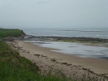 A day of rain at Cresswell.