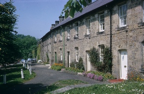 Terraced cottages in Whalton. 