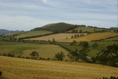 Bowmont Water near Alnham.