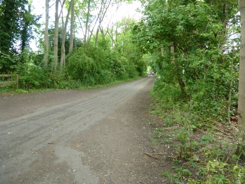 The waggonway at Wylam