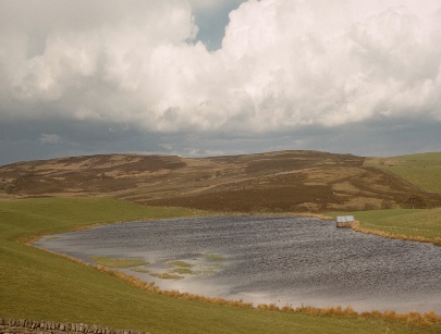 Harehope