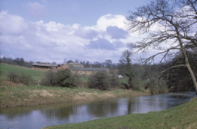 Near Plessy Hall Farm. 