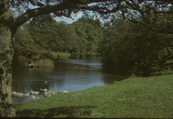 Near Mitford