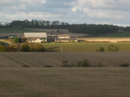 View across farm land in Ancroft.