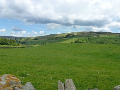 Knaresdale Roman Fort
