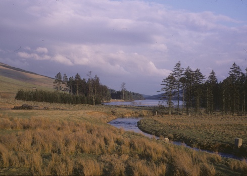Ridsdale