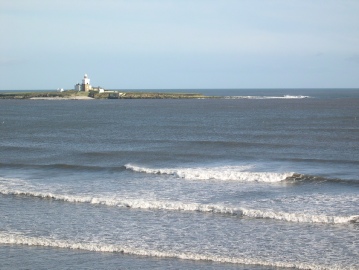 Coquet Island