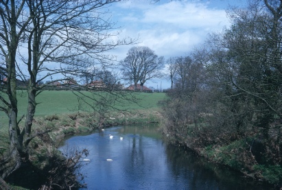 The River Aln at Lesbury.