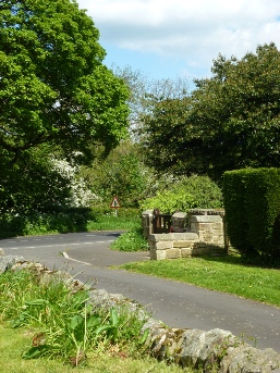 A road in Ulgham.
